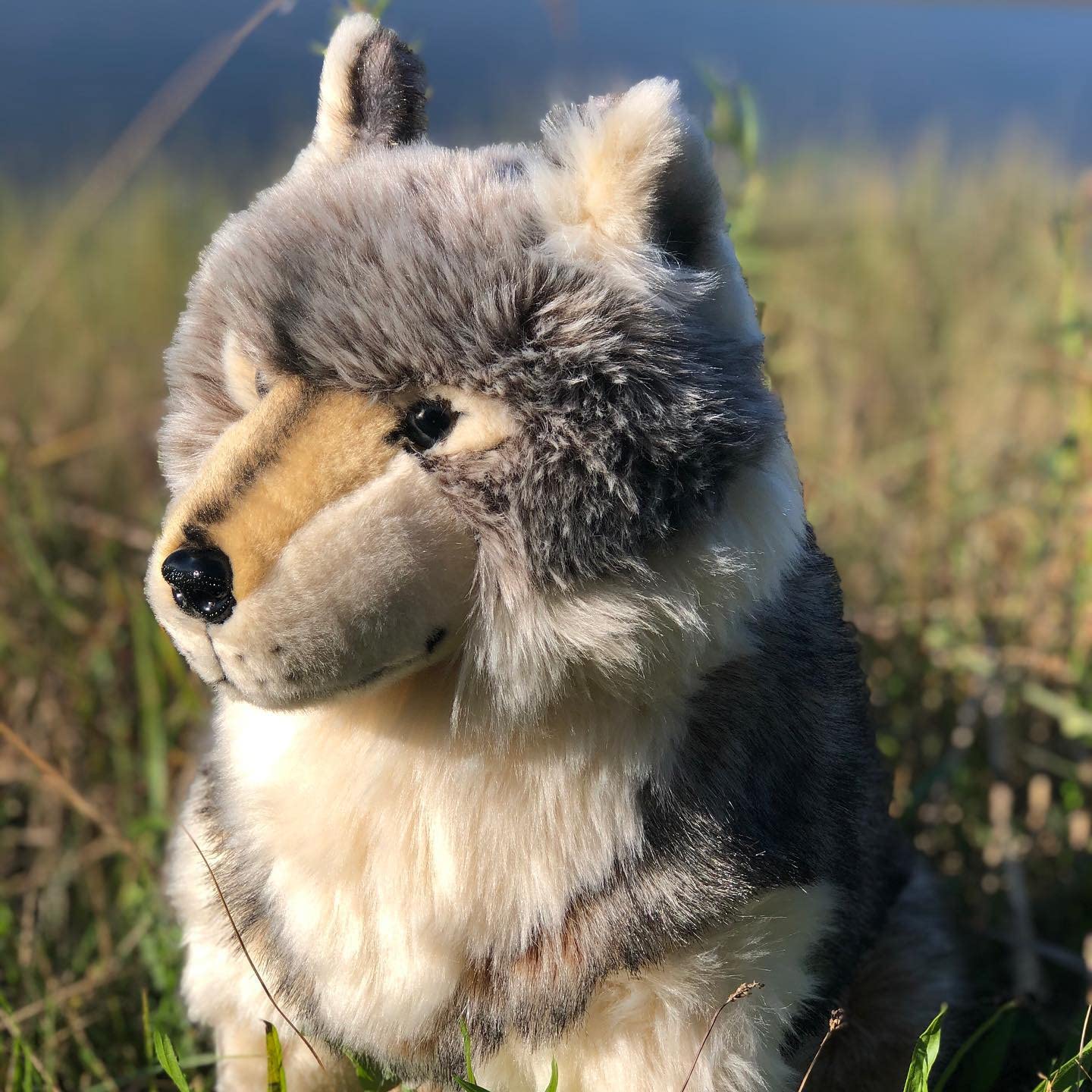 Amazon.co.jp: Auswella ぬいぐるみ 座っている木材 オオカミ